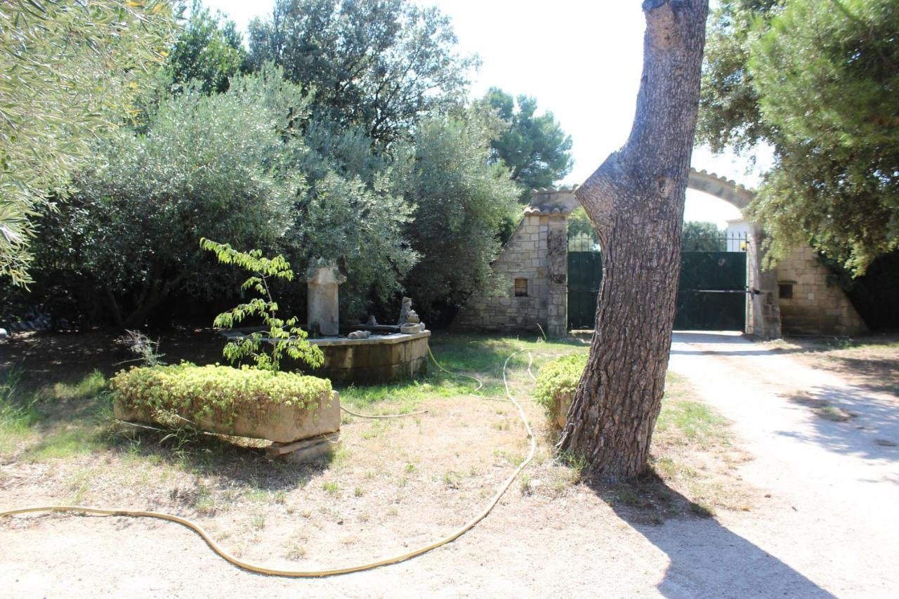Le Mas De Lucien Entre Arles, Nimes, Avignon. Beaucaire  Exterior foto